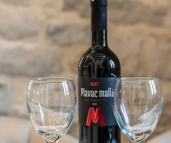 In Diocletian Palace 公寓 *